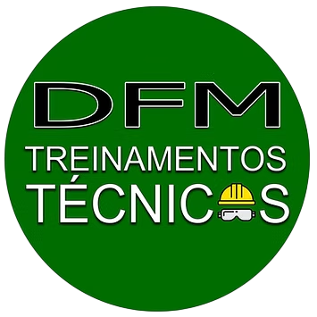 Logo DFM